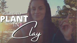 14 Plants for Clay Soil (What to Plant in Heavy Clay Soil) | Permaculture Soil Preparation