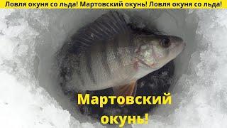 Ловля окуня со льда! Мартовский окунь!