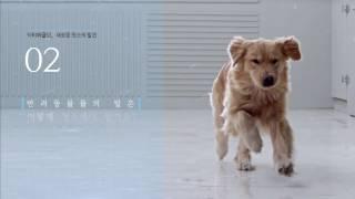 닥터에클린 더클 점착식 청소포 소개 영상