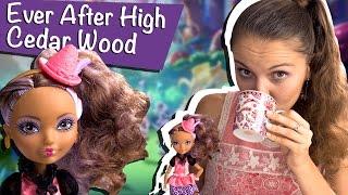 Cedar Wood Hat-Tastic Party (Сидар Вуд Чайная вечеринка) Ever After High Обзор/Review, BJH32