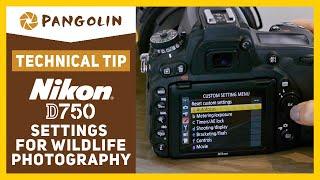 Nikon D750. How to set-up for Wildlife and Nature Photography. Recommended settings and tips.