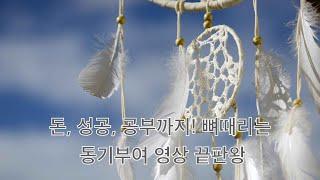 돈, 성공, 공부까지! 뼈때리는 동기부여 영상 끝판왕