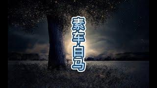 国学经典-素车白马