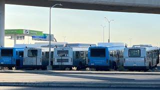 ⁴ᴷ⁶⁰ Transit Action EP50 | SamTrans & SFO Shuttle Buses @ SFO Int'l Terminal A