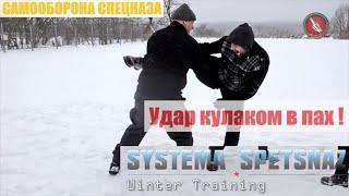 Удар кулаком в пах. Вадим Старов зимний тренинг в России с бойцом ниндзюцу Иран. Самооборона Спецназ