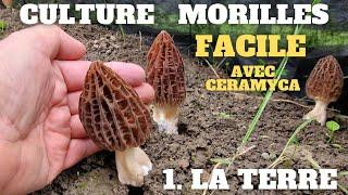 VOS MORILLES 100% MAISON : PRÉPARATION DU SOL (#EP 01) la méthode facile ️  #morilles ️ Ceramyca