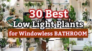 20 Best Low Light Indoor Plants for Bathroom | No Sunlight Bathroom Plants | Bathroom Decor Ideas