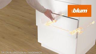 TIP-ON BLUMOTION for TANDEMBOX: Mechanical opening support system combined with soft close | Blum