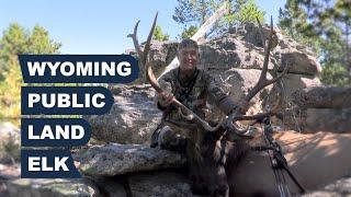 Wyoming Public Land Elk Hunt - Recurve Bow