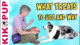 What treats to use and why - Professional Dog Training