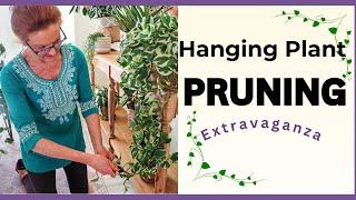 PRUNING HACKS FOR FULLER, HEALTHIER HANGING PLANTS. End Of Summer "Tidy-Up"!