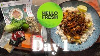 Day 1 Of Hello Fresh | Honest Reviews & Taste Test