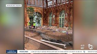 Construction updates for the Balboa Park Botanical Building