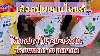 เลือกซื้อปุ๋ยใส่นาข้าวสูตรไหนดี ในระยะเร่งต้น ช่วยแตกกาบ  แตกกอ ผมใช้สูตรนี้มา 2 ปี ประทับใจมากครับ