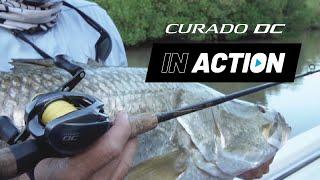 IN ACTION: Shimano Curado DC