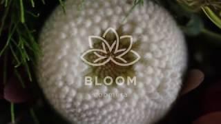 Coomera_Bloom(QLD) Orion Star Property 호주 부동산 전문가