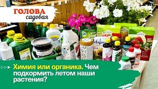 Голова садовая - Химия или органика. Чем подкормить летом наши растения?