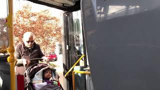Bus Driver / Public Transport in New Zealand