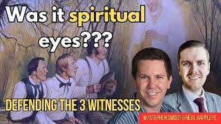 Did the 3 witnesses actually see the angel and plates?