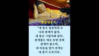 #혜암대선사# #김이현 定慧#禪어록,#참선 ,#선불교,#간화선 ,#명상,#수행,#수행#자신과의 만남,