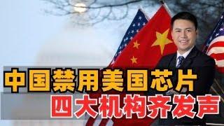 反击！中国禁用美国芯片，四大机构齐发声