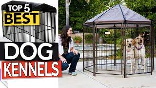  TOP 5 Best Dog Kennel 2024 - All crate options to consider