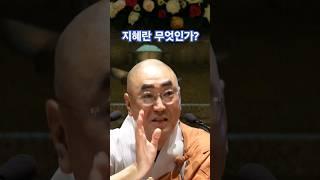 지혜란 무엇인가? - 가섭스님 #법문 #반야 #바라밀