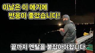 하루 하루 반응하는 에기가 다른 제주 한치 낚시