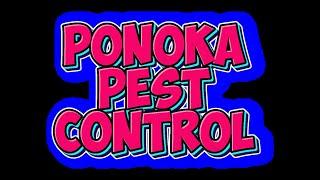 Ponoka Pest Control Mouse Control 587-850-5432