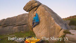 Burbage South - The Sheep 7A