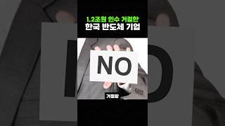 1.2조원 인수 거절한 한국의 AI반도체 기업