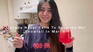 Unexpected Snowfall In Toronto | It’s My Week Off | Canada Vlogs