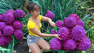 Harvesting Green Cauliflower Goes to market sell, Cooking cauliflower | Phuong Daily Harvesting