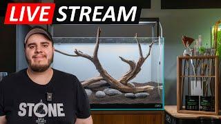 Livestream - Aquascaping Q&A