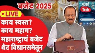 Maharashtra Budget Session 2025 : अर्थसंकल्पात काय स्वस्त? काय महाग? | Ajit Pawar