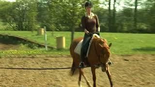 REITEN und ZUCHT-Video Reitlehre: Das Angaloppieren