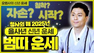 범띠운세 2025년 신년운세.금전운과 좋은소식이 기다리고 있어