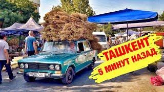 Ташкент пять минут назад утренний базар