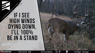 Why You Should Always Hunt High Wind Days!