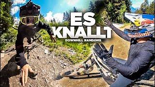 This was too wild! - Downhill Randoms #30