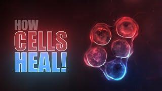 Heal diseases with food (and your own cells)!