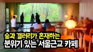 숲 & 갤러리 컨셉의 분위기 있는 카페ㅣ서울근교카페