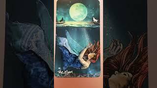 Daily Tarot  The Moon  Trust your inner knowing  #tarot #tarotreading #spirituality #guidance