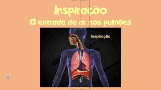 Sistema Respiratório