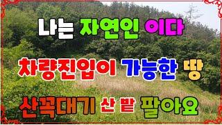 500 신창리 주말농장매매 깊은산속 장기주말농장매매 산골짜기 포항밭매매 나는자연인이다 적당한 지역의 포항밭매매 차량진입이 가능한 밭매매  포항부동산 장기부동산 지목부동산