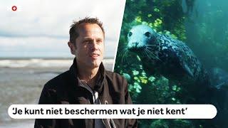 Speelfilm toont onderwaterleven Noordzee, die volgebouwd wordt met windmolens