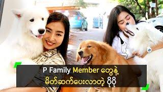 P Family Member တွေနဲ့ မိတ်ဆက်ပေးလာတဲ့ ပိုပို