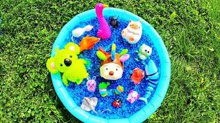 Learn Animal Names for Babies Kids with Orbeez Waterbeads: Cat Bear Crocodile Shark