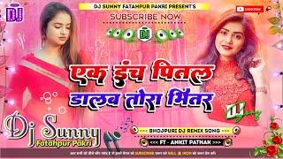 Ek Inch Pital Dalab Tora Bhitar || Bhojpuri Dj Remix Song Hard Dholki Mix || Dj Sunny Fatahpur Pakri