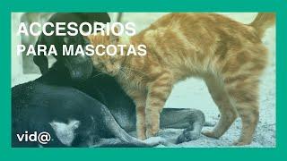 Accesorios para mascotas